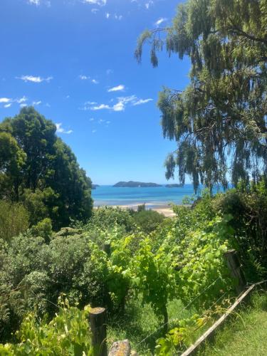 Whitebait Point - carbon neutral hotel in Unknown City