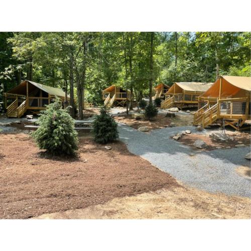 Wilderness Cove Campground 21427504 — Saluda