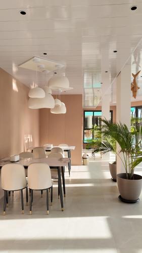 Palmcasa in Maafushi, Maldives