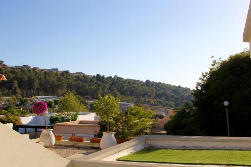 Noam Hamargalit in Kefar Weradim, Israel