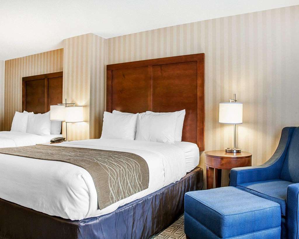 Comfort Inn & Suites Sturbridge Brimfield - photo 13