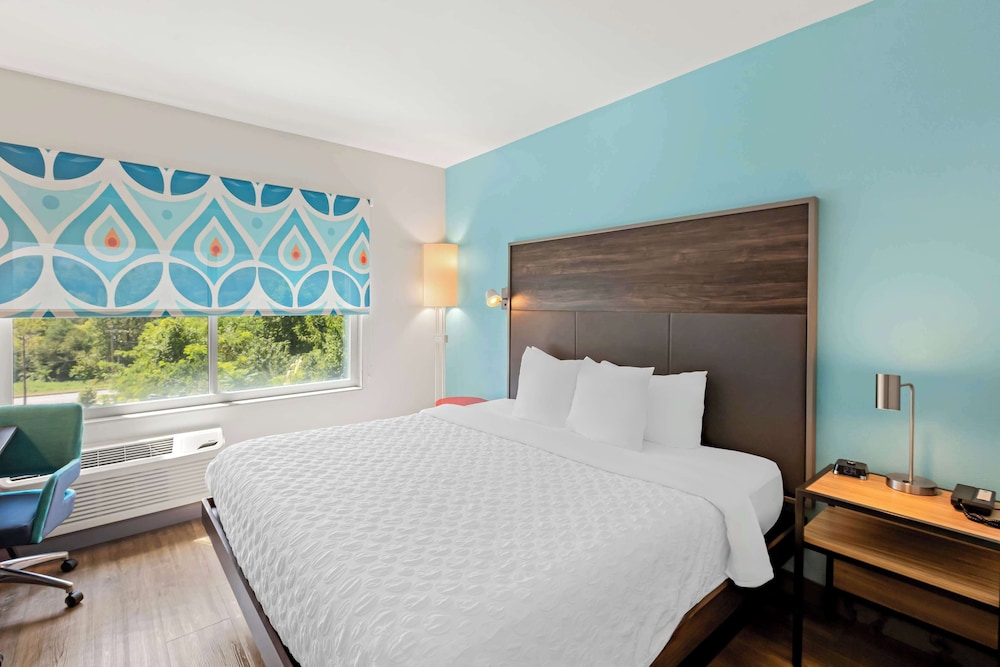 Tru by Hilton Asheville Blue Ridge Parkway - photo 24