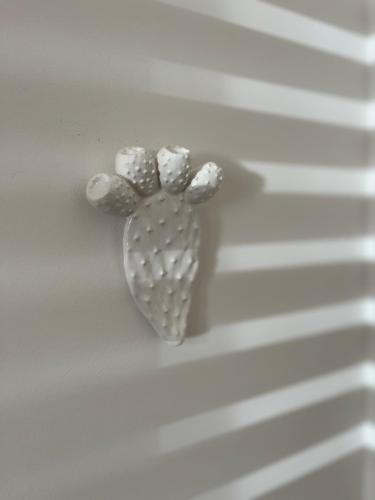 Il Fico d’India in San Vito Lo Capo, Italy