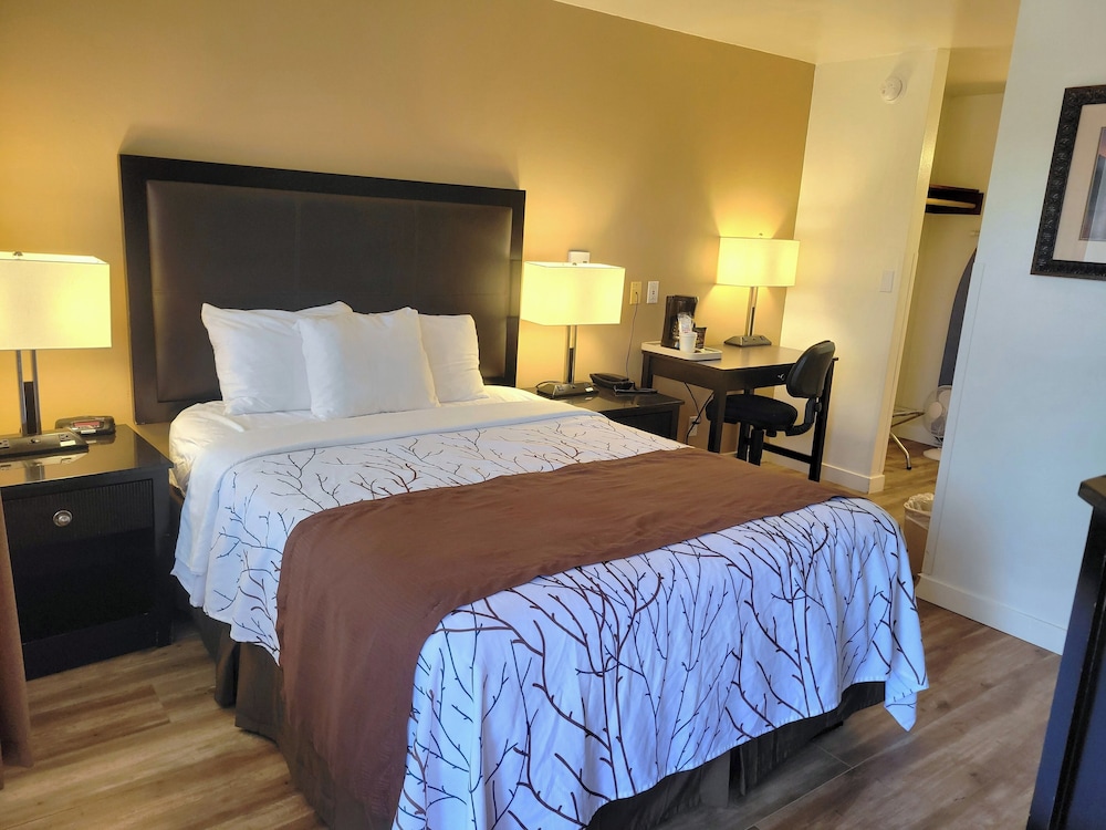 Uptown Inn - photo 15