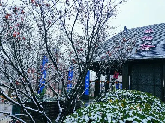 Serenus Ark in Langfang, People's Republic of China