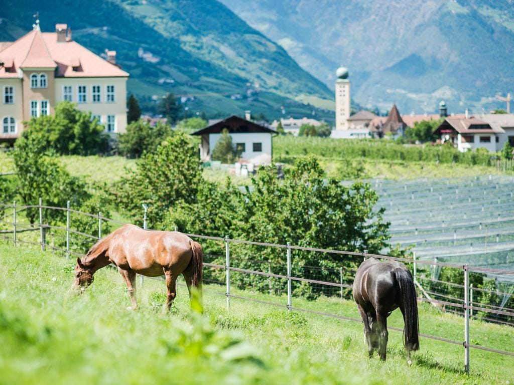Garni Hotel Katzenthalerhof — Lana