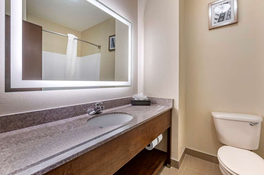 Comfort Inn & Suites Cincinnati Uptown Clifton - photo 15