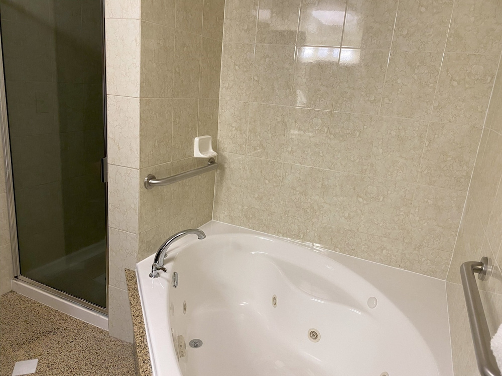 Hotel Indigo Detroit North Troy by IHG - photo 41
