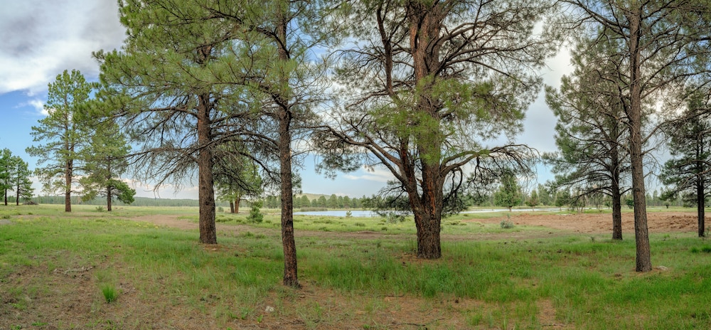 Backland Luxury Nature Resort Grand Canyon - photo 33