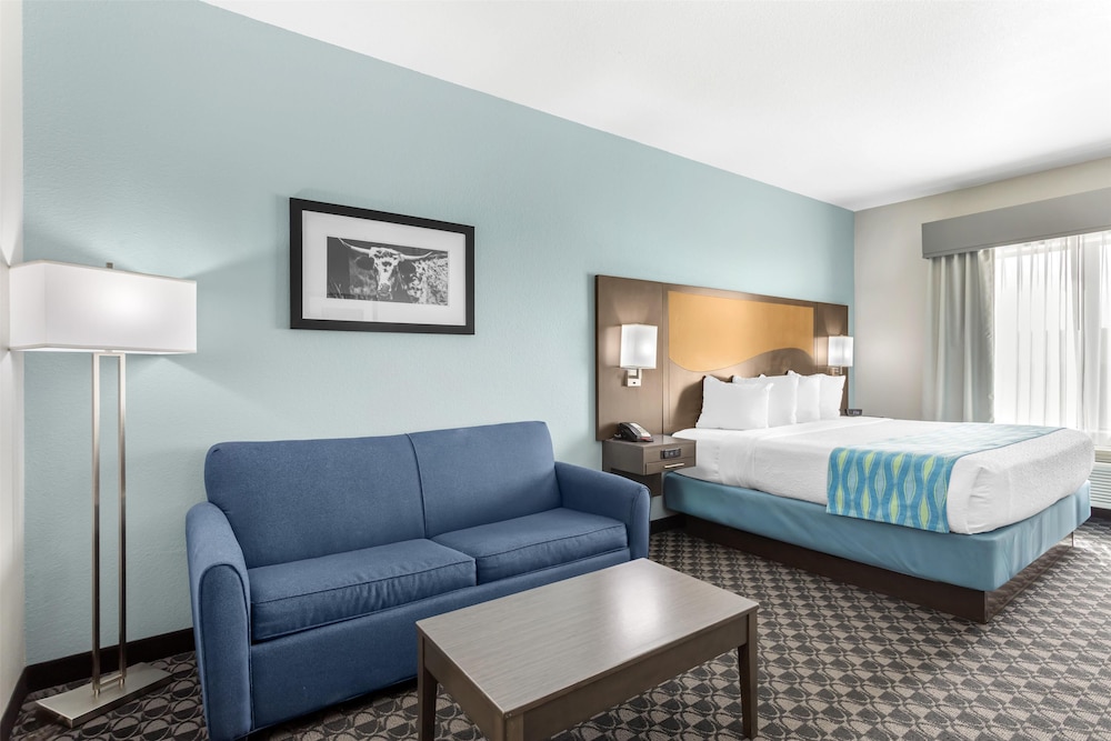 Best Western Plus Waller Hotel - photo 6