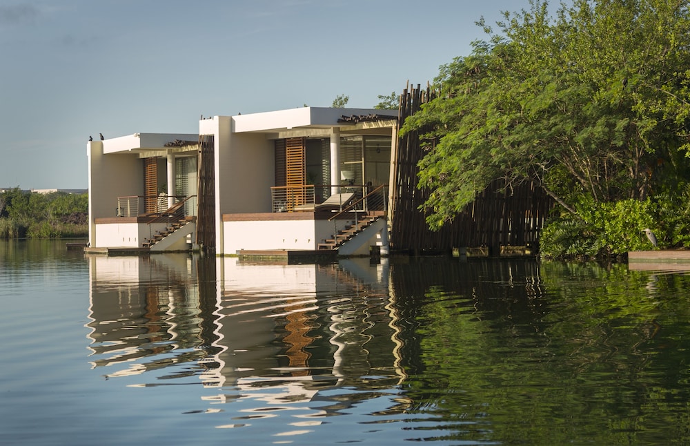 Lake view