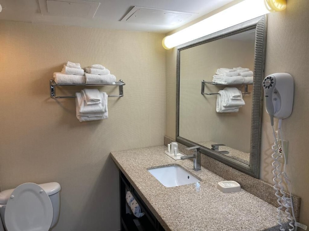 Wyndham Garden Dover - photo 17