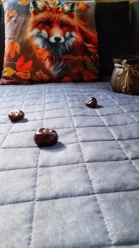 Zaciszny Zakątek Zawoja in Zawoja, Poland