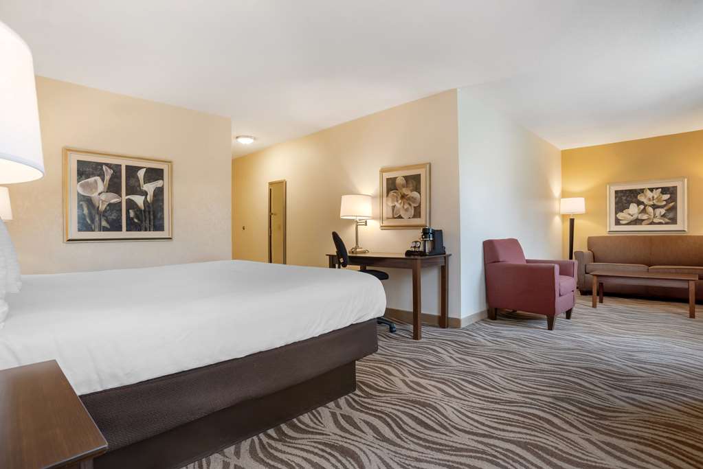 Best Western Plus Oak Mountain Inn - photo 9