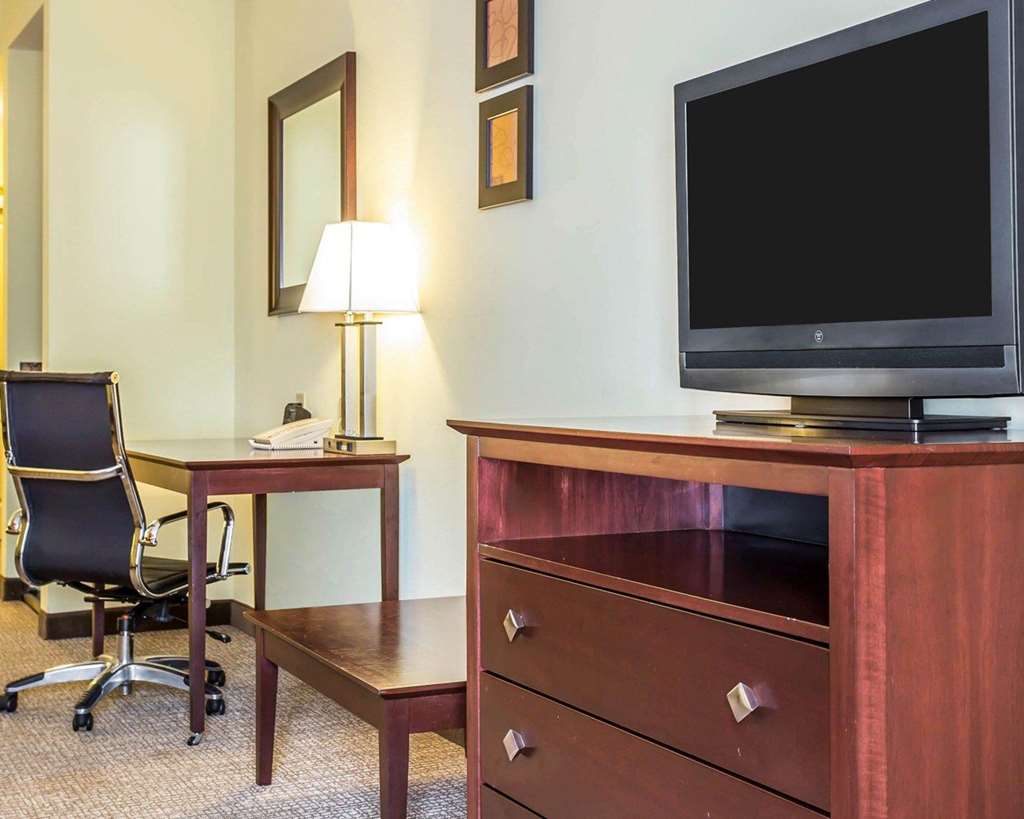 Comfort Suites Rock Hill Manchester Meadows Area - photo 13