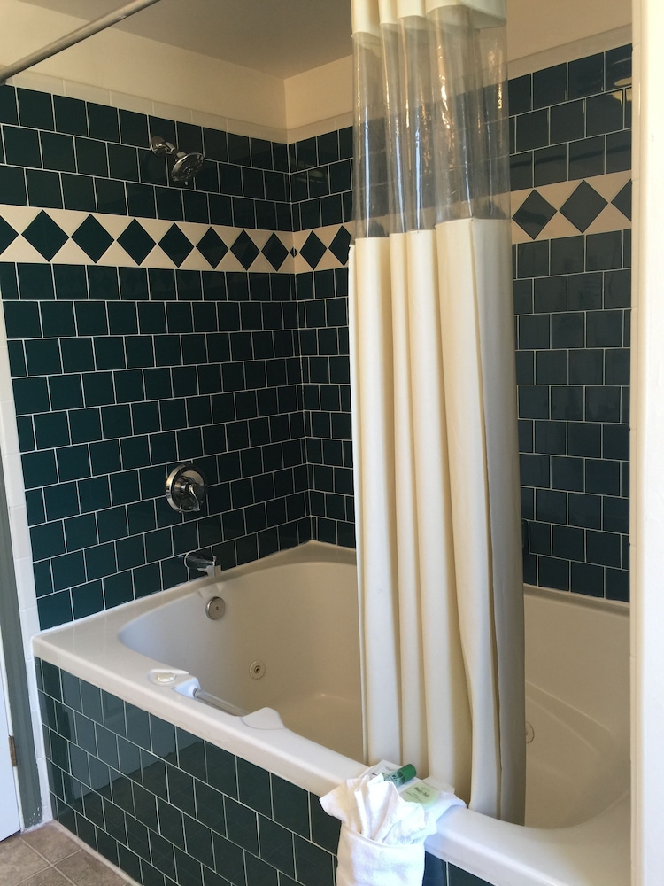 Holland Inn & Suites - photo 43