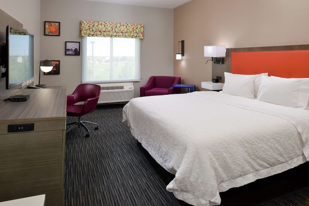 Hampton Inn Fort Stockton - photo 31