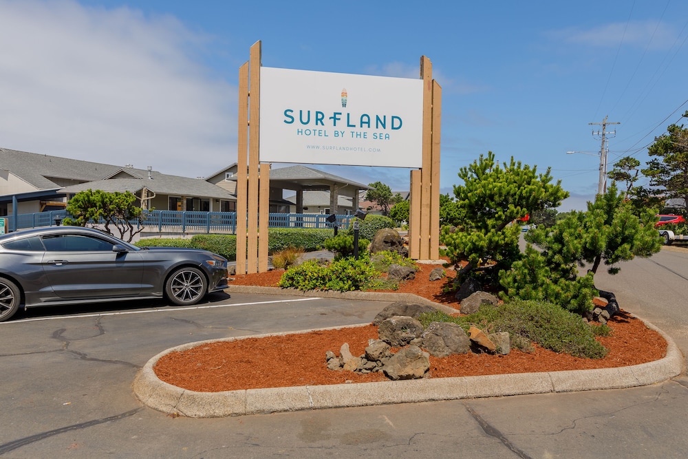 Surfland Hotel - photo 49