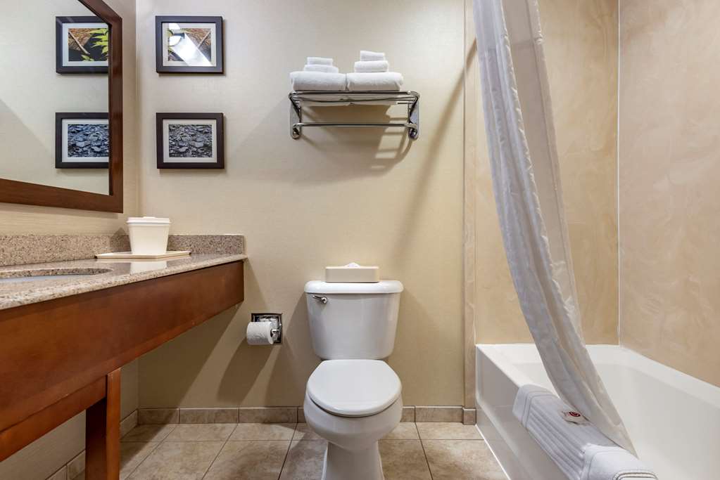 Comfort Inn & Suites Farmington Victor - photo 12
