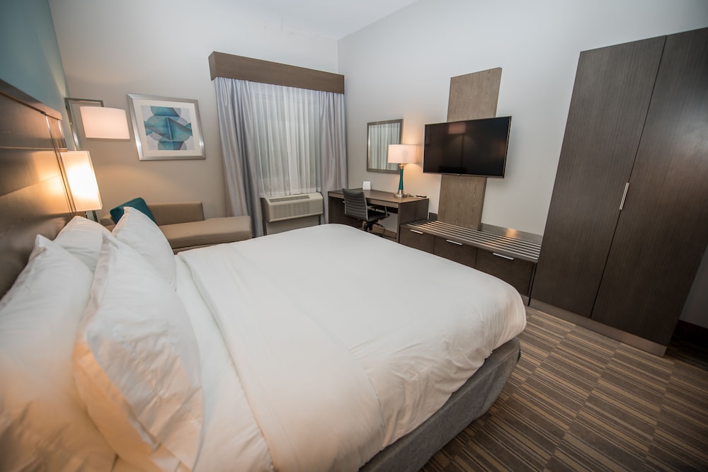 Holiday Inn Express & Suites Lake Charles South Casino Area by IHG - photo 29