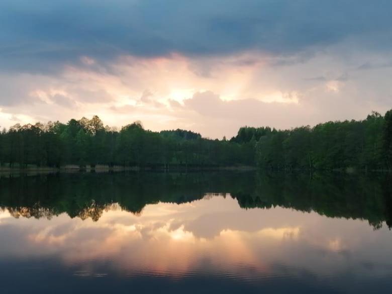 A Private Cozy Cottage On The Shore Of The Lake Beautiful View 20158129 — Aukstadvaris