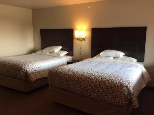 Scenic Shore Inn - photo 37