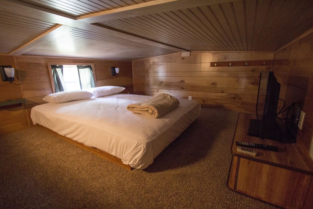 Richmond North Kings Dominion KOA - photo 6