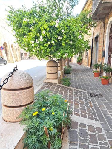 Cinque Torri Affittacamere — Osimo — photo 2