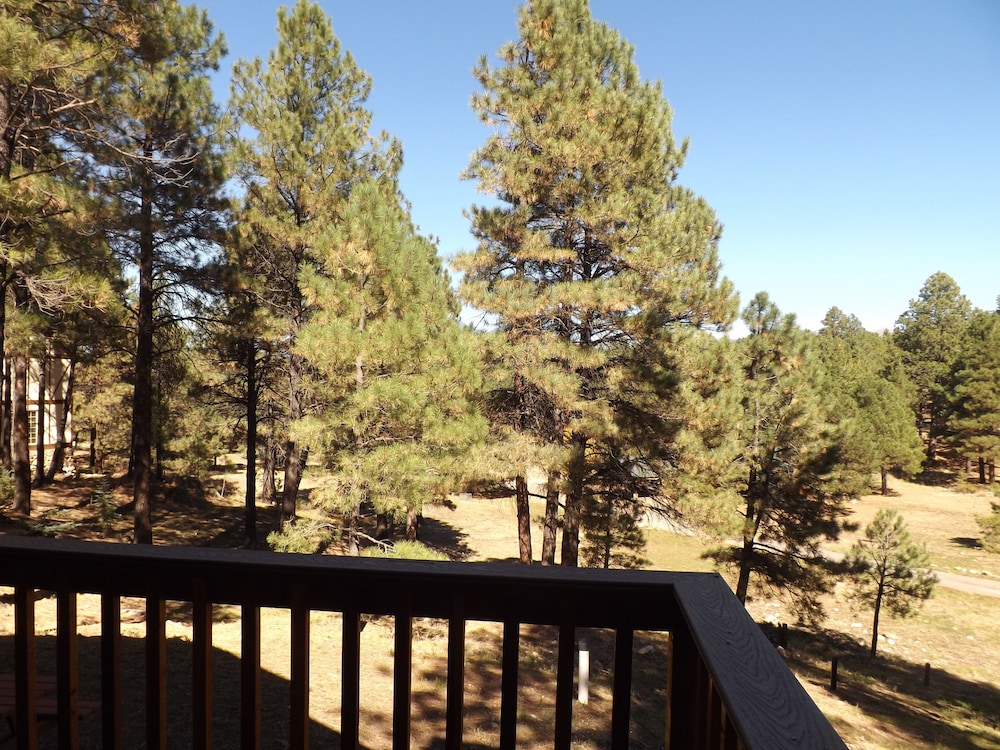 Arizona Mountain Inn and Cabins - photo 321