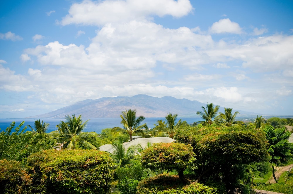 Hotel Wailea Relais & Chateaux Adults Only - photo 88