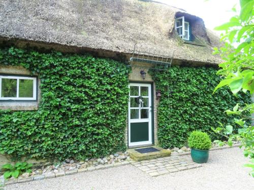 Kleines Reethaus Johannsen mit geschmackvoller Einrichtung und tollem Garten — Silberstedt — photo 3