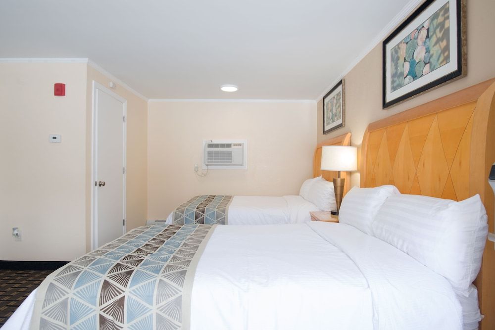 Mount Royal Inn - photo 12