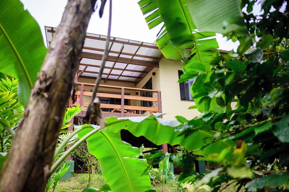 Aves de Tierras Altas in Bijagua, Costa Rica