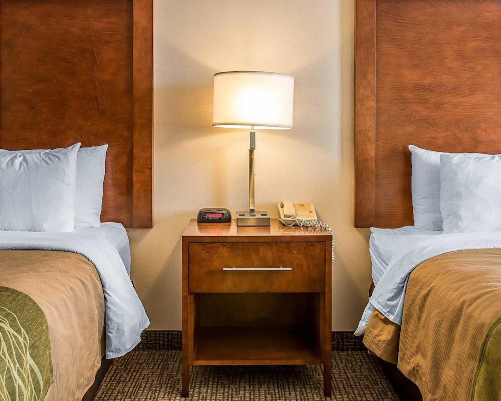 Bluffton Inn & Suites By IHG - photo 25