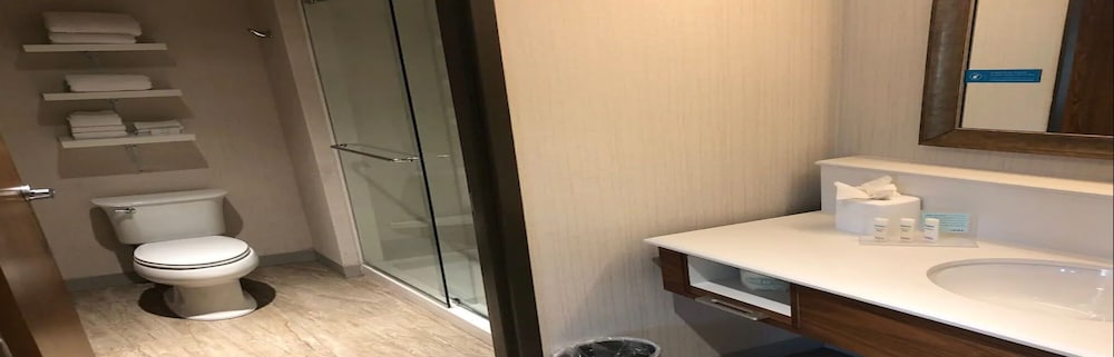 Hampton Inn & Suites Tampa Busch Gardens Area - photo 29