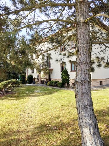 Ohotelik Pensjonat w Poniatowej in Poniatowa, Poland