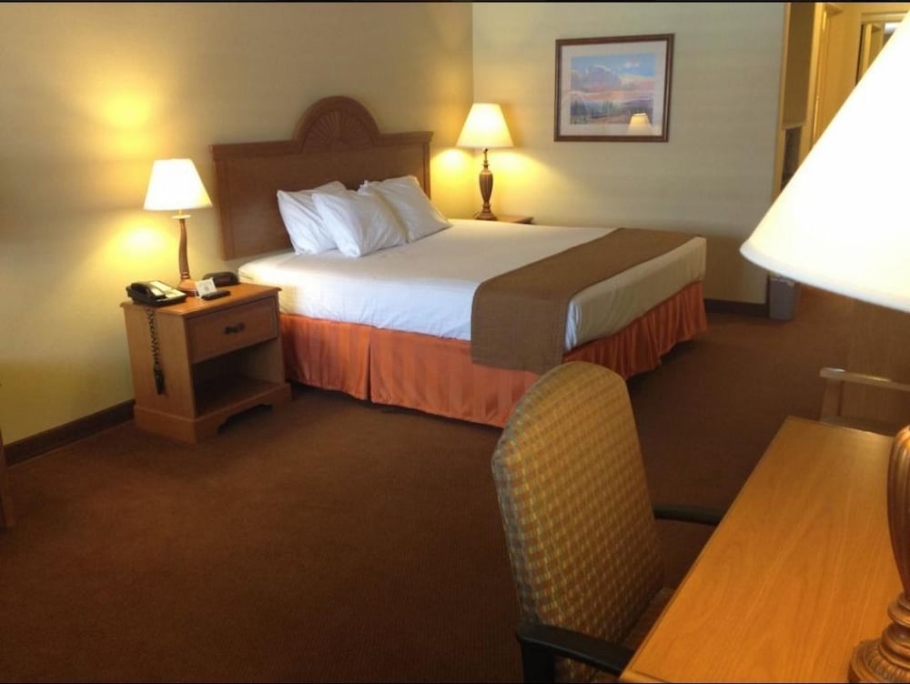 Wintergarden Inn - photo 8