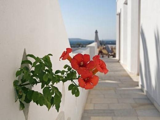 Artemis Hotel — Antiparos — photo 5