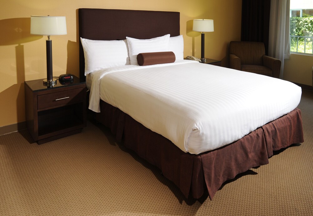 Airtel Plaza Hotel - photo 17