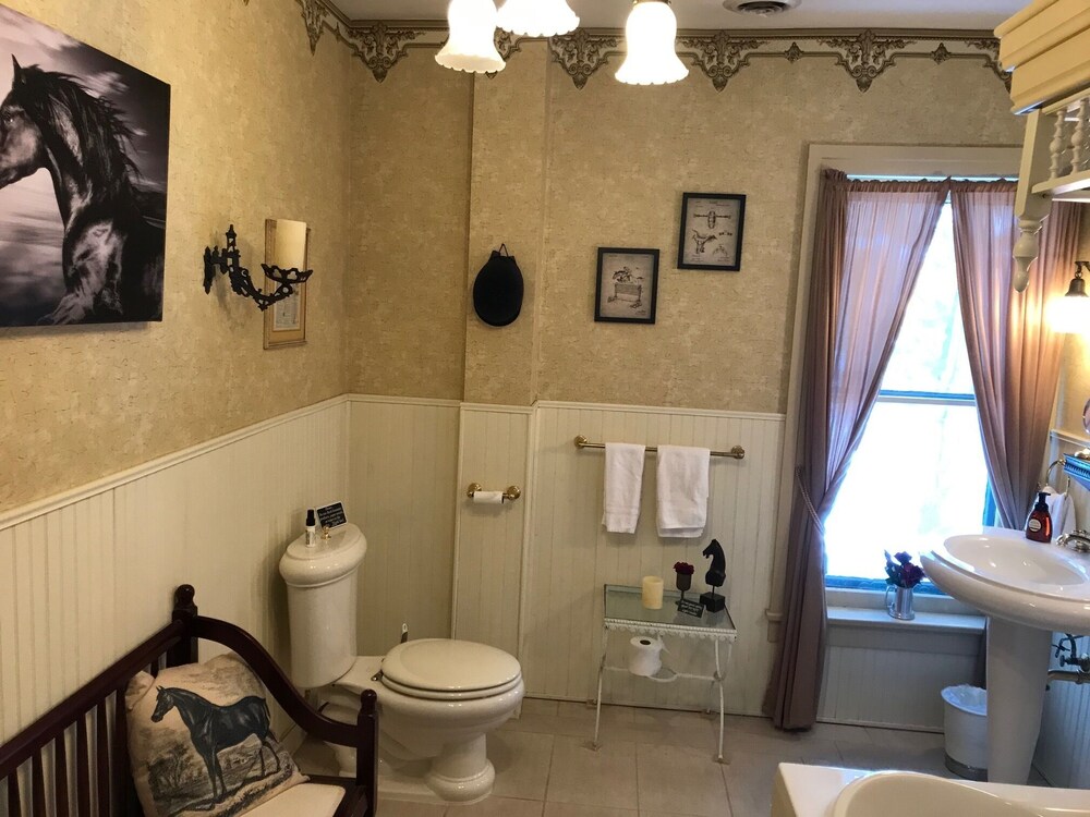 Iron Amethyst Inn Boutique Hotel - photo 16