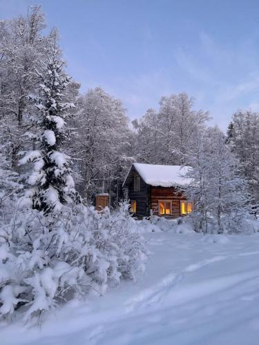 Gemütliche Blockhütte mit Außentoilette und Badezimmer im Haupthaus in Unknown City, Sweden