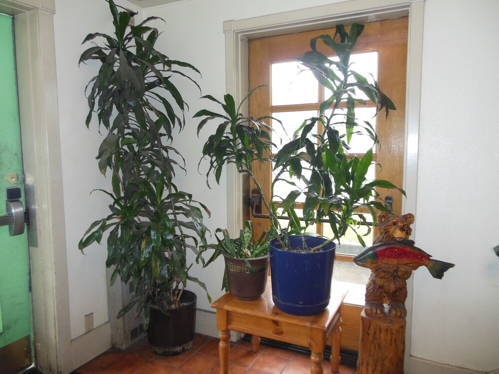 Chelsea Inn Hotel - photo 28