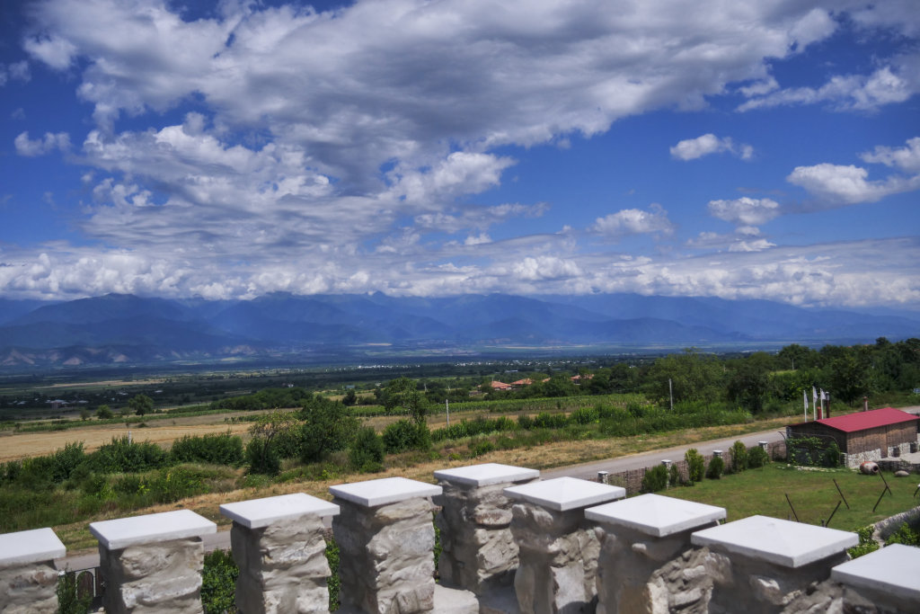 Chateau White Flags — Telavi — photo 5