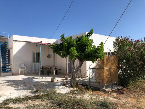 Anika in Sitia, Greece