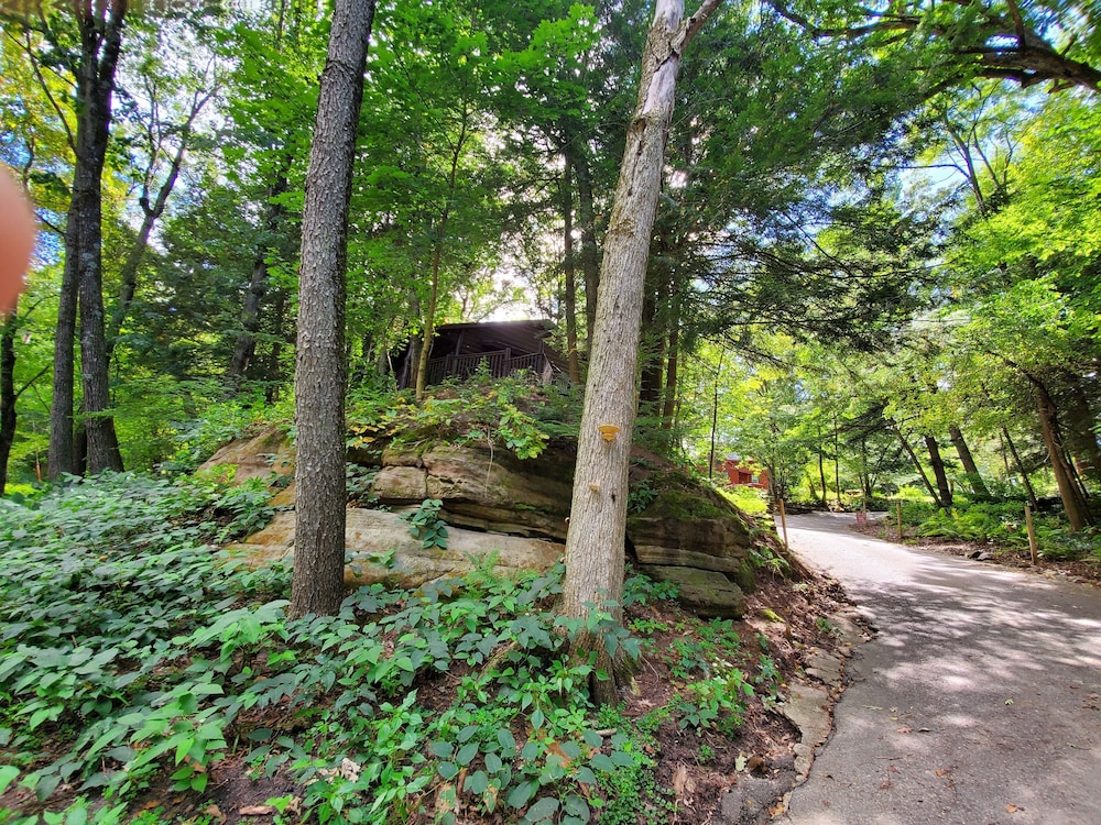 Birchcliff Resort - photo 140