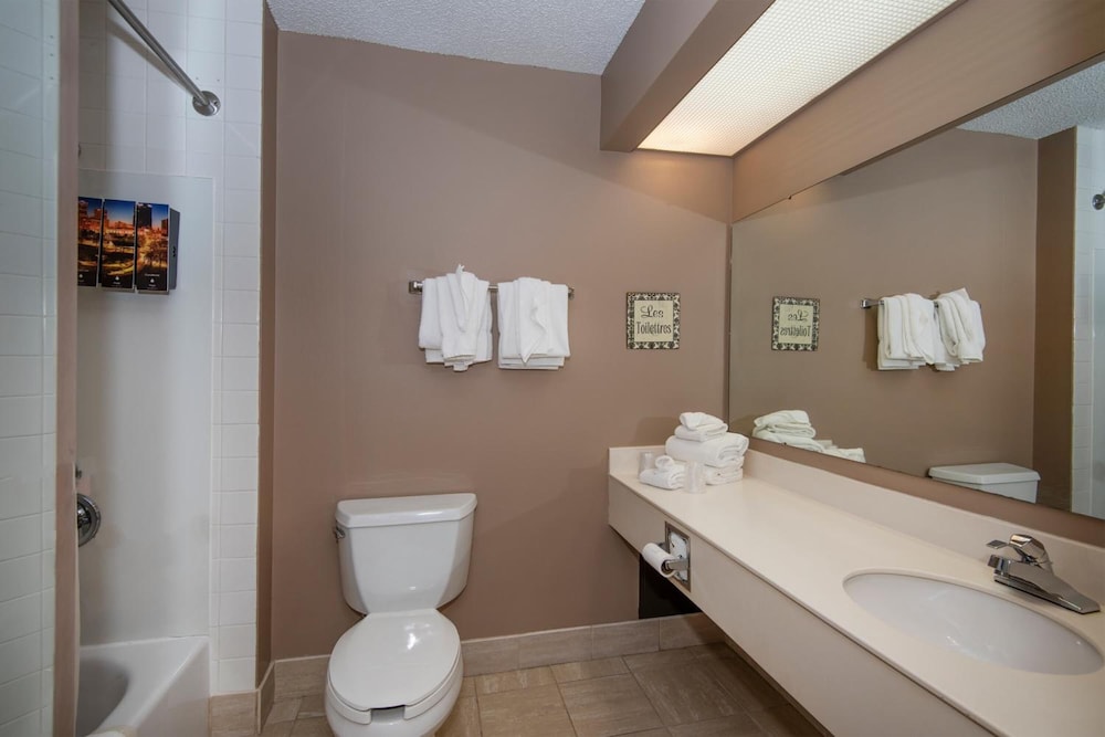 Guest Inn & Suites Midtown Medical Center - photo 20