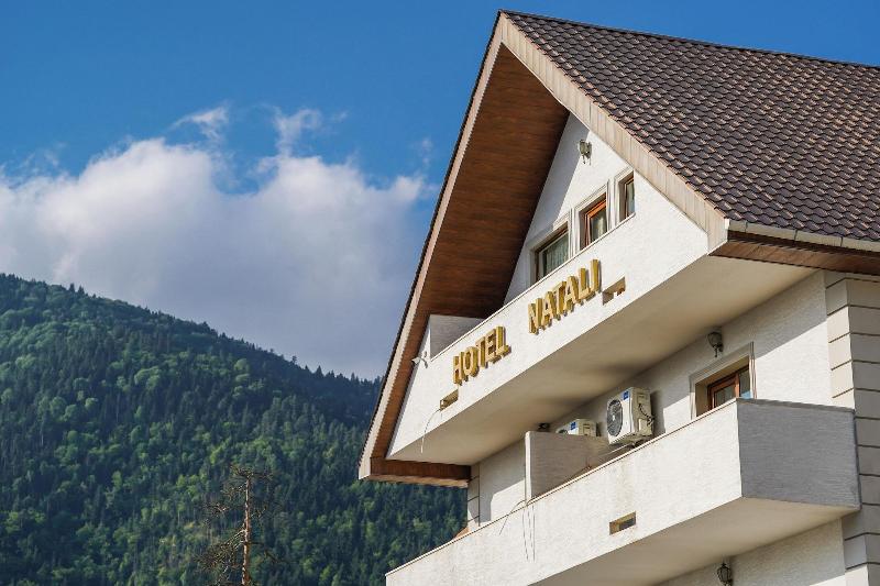 Natali Hotel — hotel in Borjomi