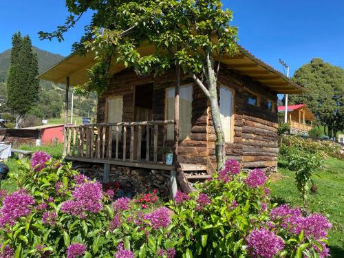 Serás Libre Refugio - last minute hotel in Zipaquira