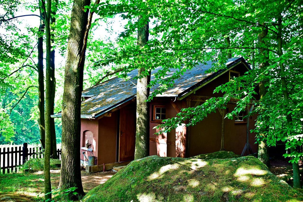 Chalupa přehrada Fojtka — hotel in Mnisek