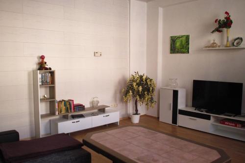 Ferienwohnung Rose — Schoeneck — photo 3